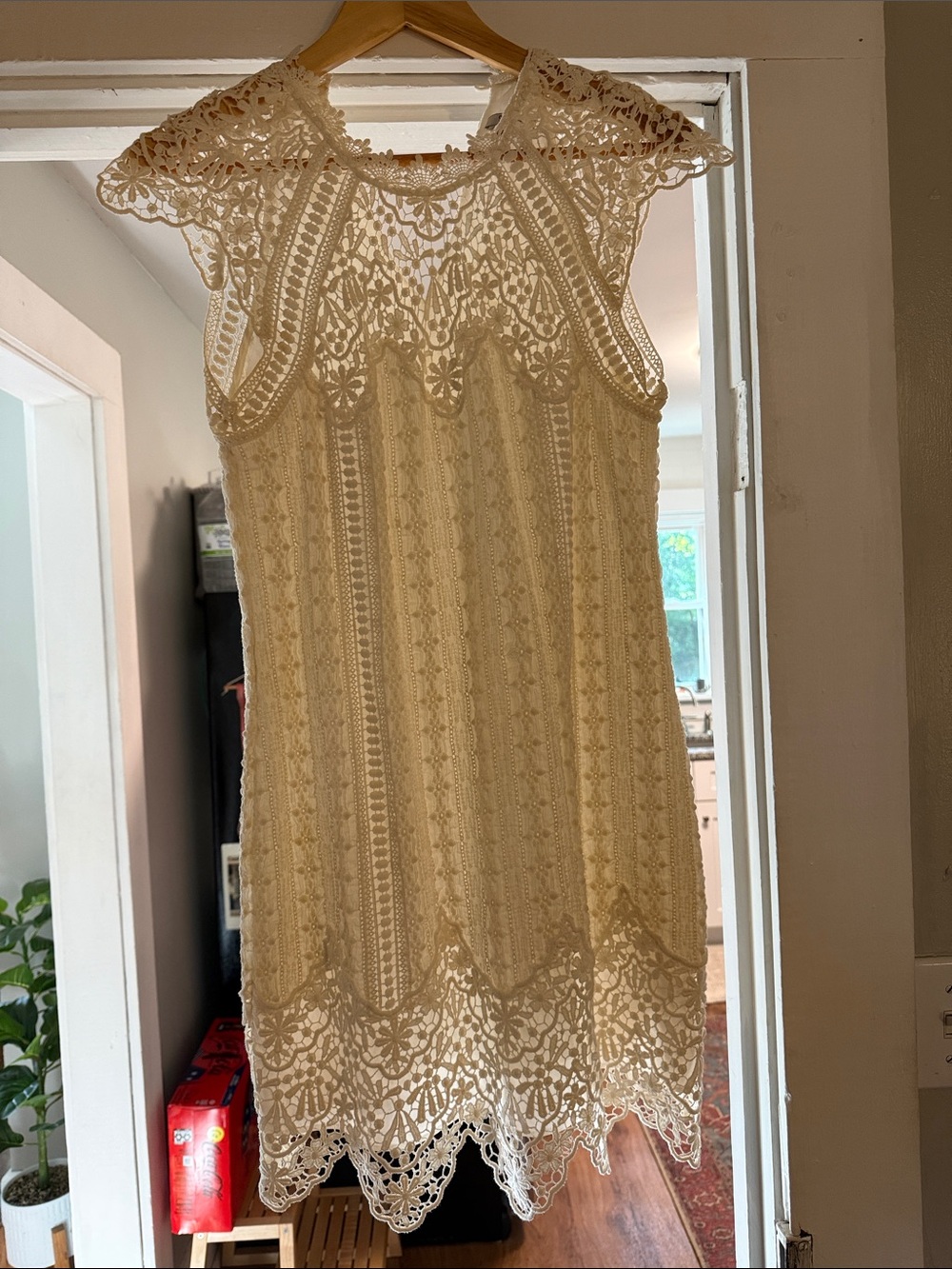 SAYLOR Cream Lace Cap-Sleeve Shift Dress